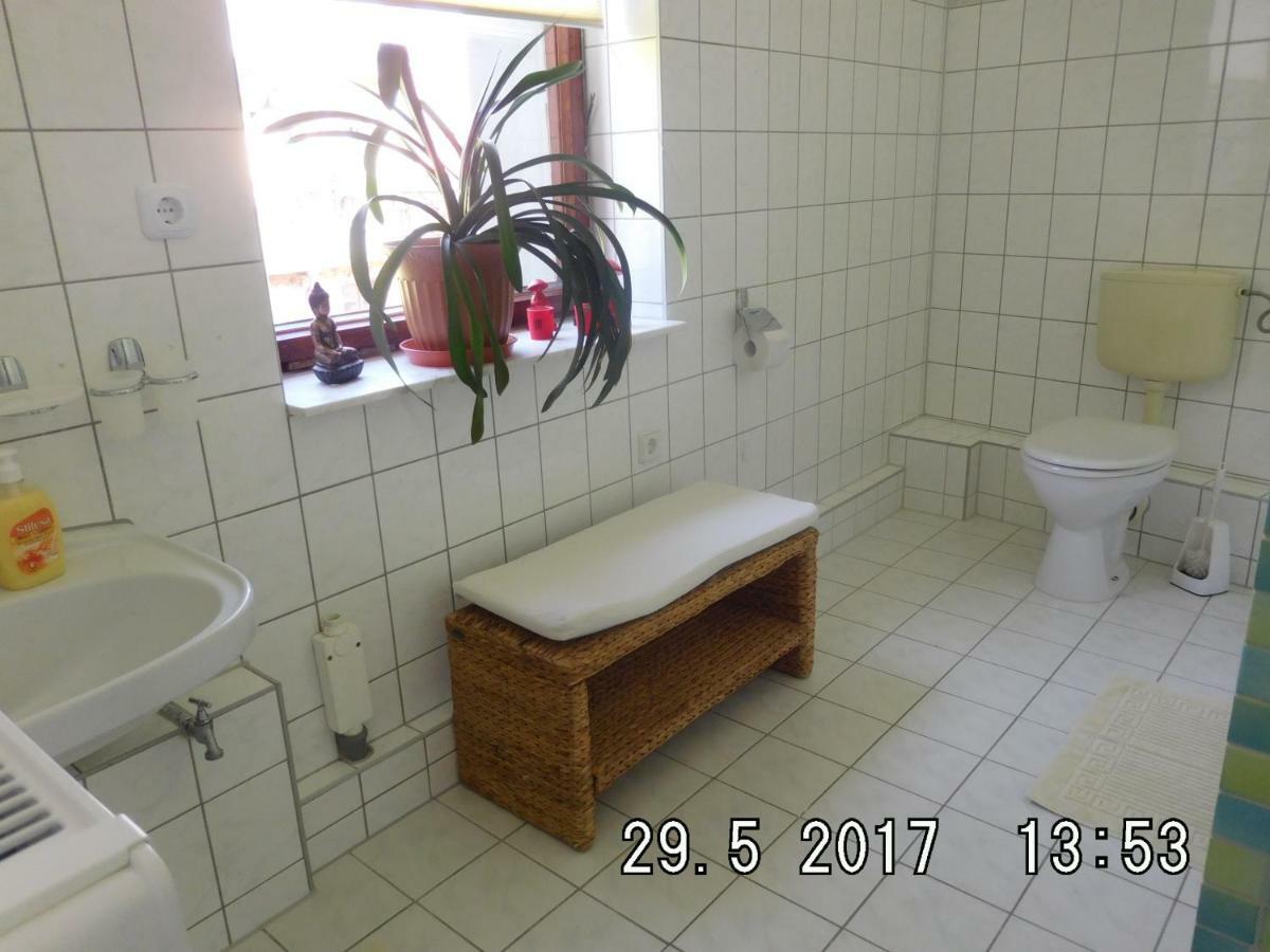 Ferienwohnung Am Schloss Torgau Εξωτερικό φωτογραφία